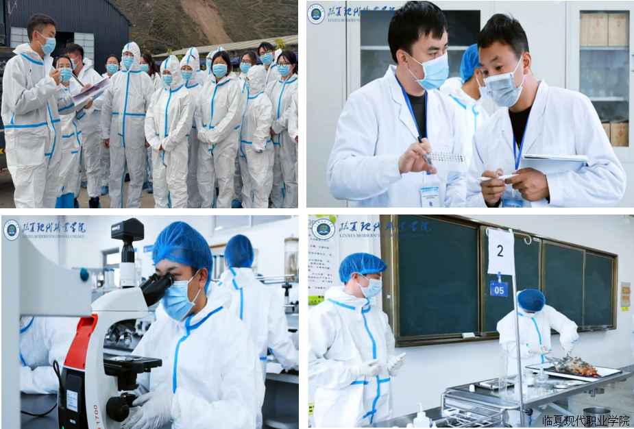 生物工程系2026年招生简章