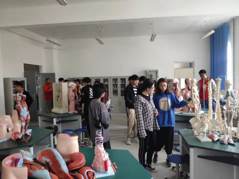 医学系2019级新生入学教育
