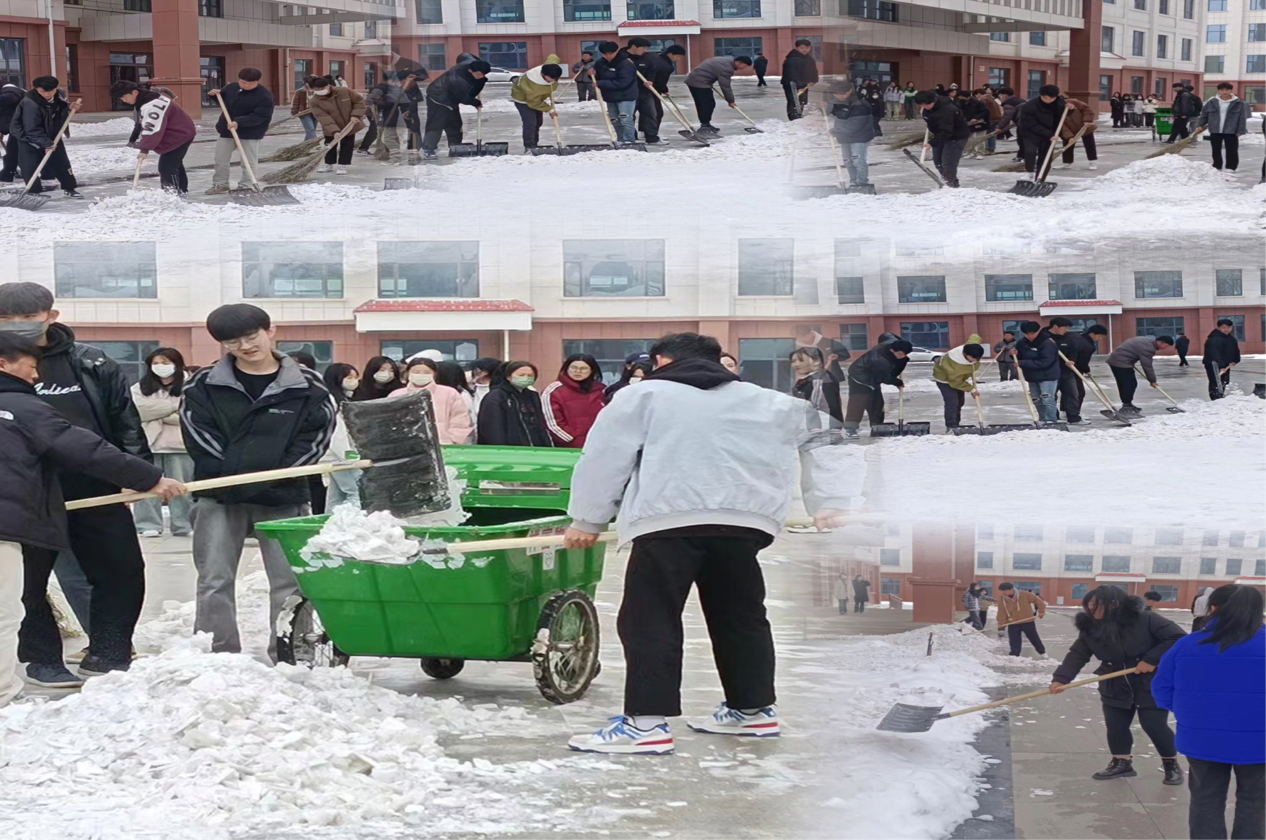 以雪为令 情满校园——— 卫生健康学院团总支开展“雷锋月” 系列志愿活动