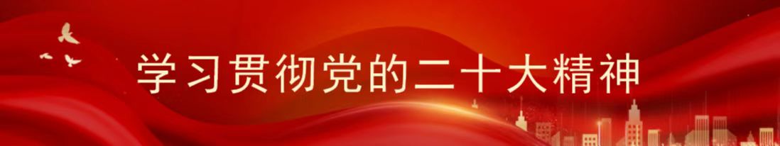 学习贯彻党的二十大精神