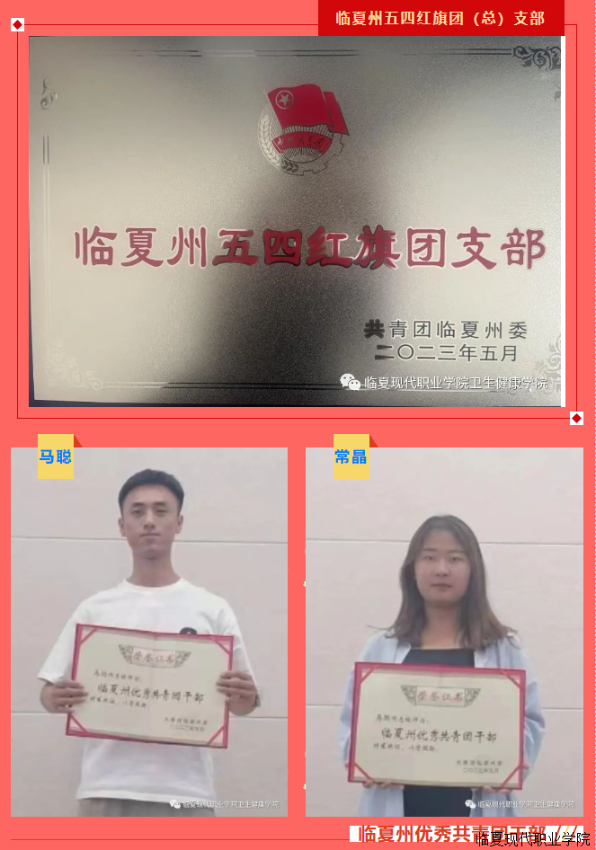 硕果累累承荣誉 砥砺奋进再前行——卫生健康学院2022年度“两红两优”获奖喜报